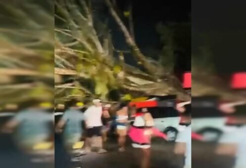 Vendaval derruba árvores e provoca danos em carros e barracas em Trancoso
